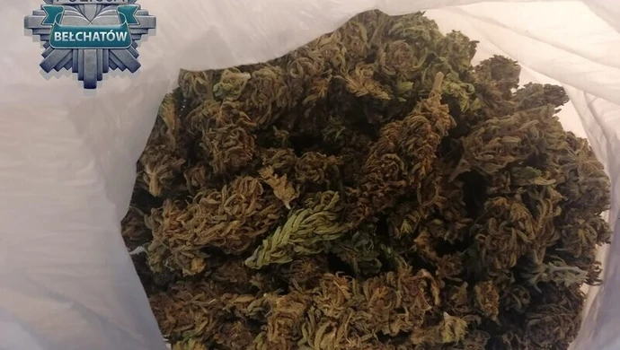 100 gramów marihuany w samochodzie 27-latka