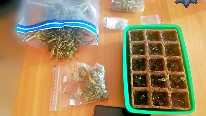 22-latek zatrzymany za posiadanie ponad 120 gramów marihuany