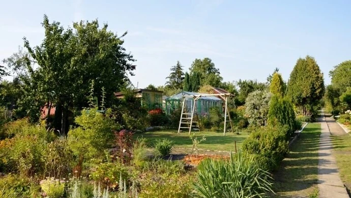 Nagły wzrost zainteresowania ogródkami działkowymi w Piotrkowie