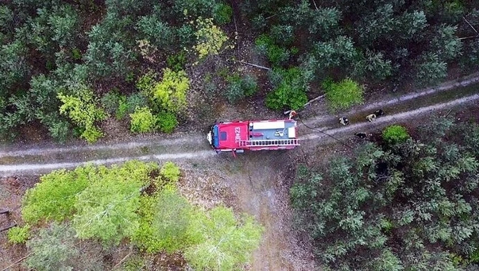 Podpalacz lasu namierzony przez drona