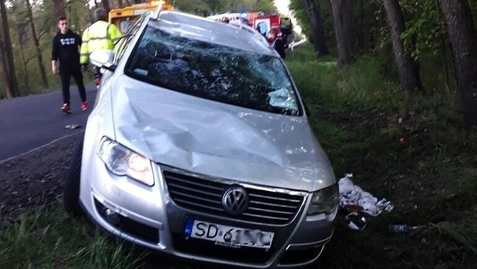 Na jezdnię wybiegła sarna. Auto wylądowało w rowie