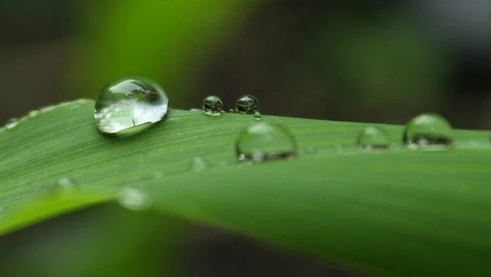 Gmina Wolbórz: Mieszkańcy, możecie starać się o dotację z programu „Moja woda”