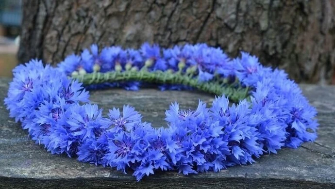 W Grabicy wybiorą najpiękniejszy wianek