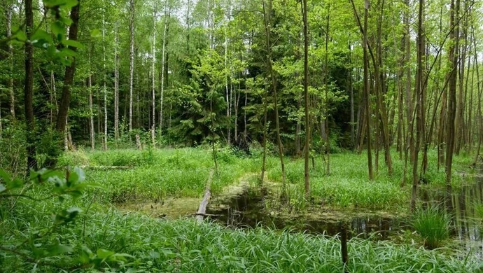 Połowa lądów - w dużej mierze wolna od wpływu człowieka
