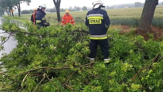 Złamany konar drzewa i zalana droga w Przygłowie