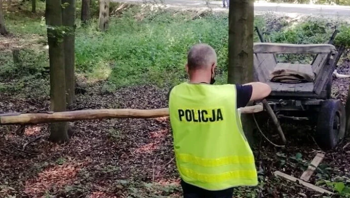 Zginął, jadąc wozem konnym