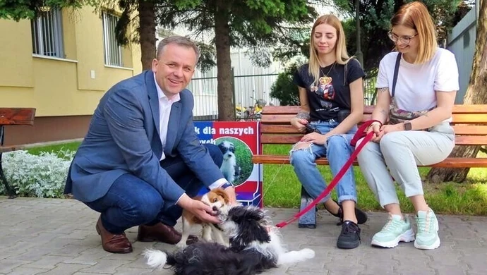 W urzędzie pamiętają o czworonogach