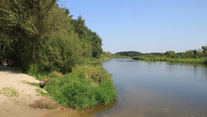 22-latek utonął w Pilicy