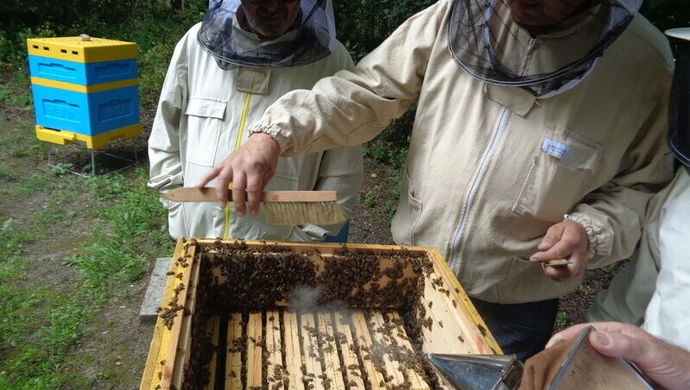 Pszczelarze z Sulejowa