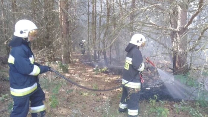Pożar lasu we Włodzimierzowie