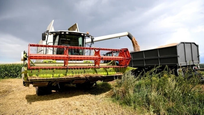 Żniwa przyspieszyły, jest urodzaj zbóż