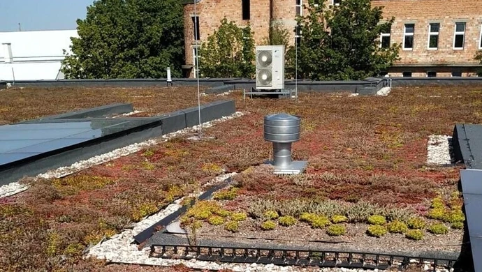 Roślinna mozaika na dachu mediateki