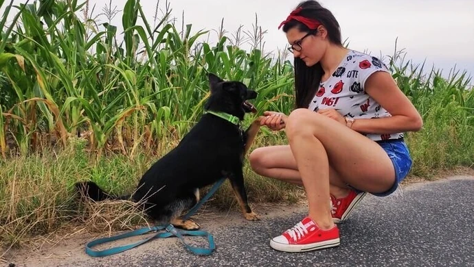 Behawiorysta, czyli psi psycholog