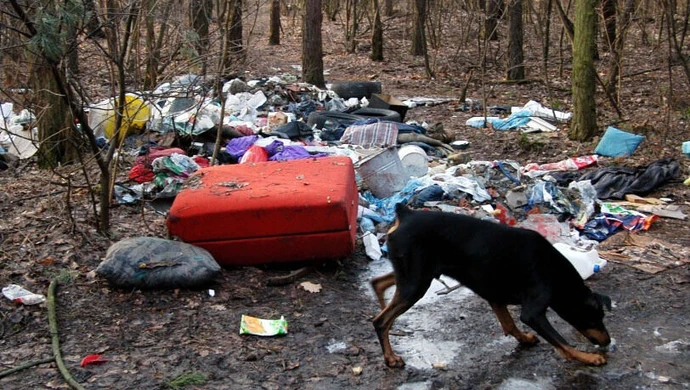 Prace nad surowszym karaniem śmiecących w lasach są bardzo zaawansowane