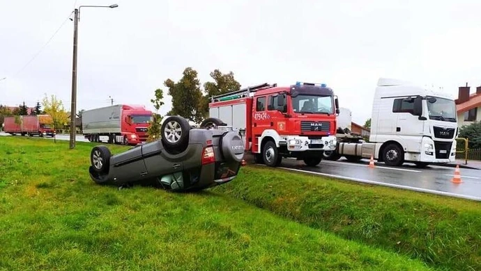 Dachowanie w Paradyżu