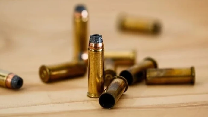 Kolekcjoner może spędzić w więzieniu nawet 8 lat