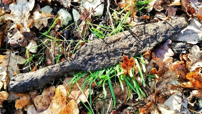 Średniowieczne znalezisko w Lubieniu. Czy będą kolejne odkrycia?