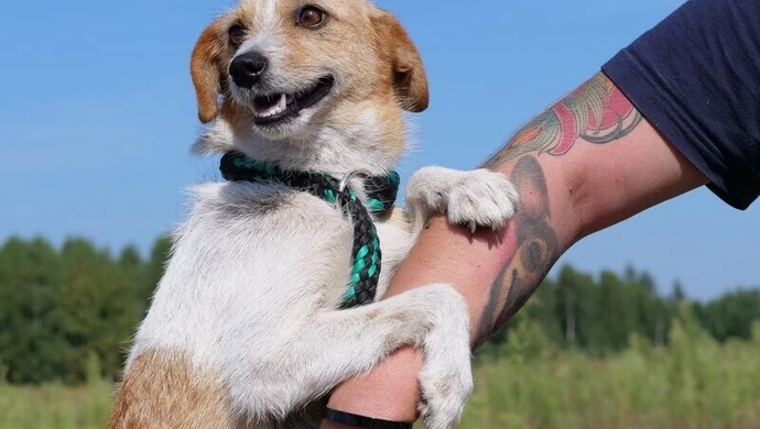Zafunduj zwierzakobus podopiecznym azylu Fundacji Masz Nosa w Bilskiej Woli
