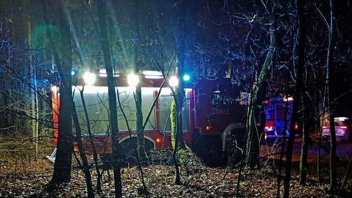 Jeździł po lesie, zatrzymał się na drzewie