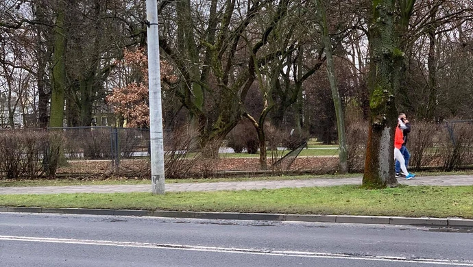 Mercedesem wjechał w ogrodzenie parku