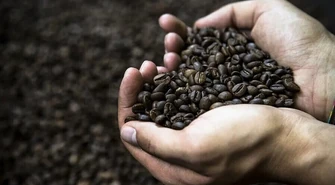 Kawa pozwala walczyć z nadwagą