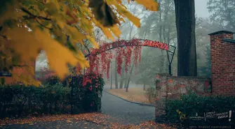 Tomaszów Mazowiecki ma szansę na 10 mln euro funduszy norweskich, Piotrków Trybunalski odpadł z tego "wyścigu"