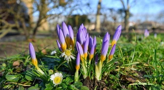 IMGW: styczeń 2020 - piątym najcieplejszym styczniem w ostatnim półwieczu