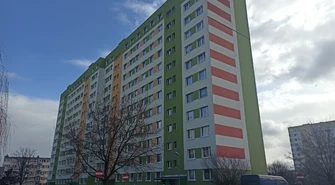 Mieszkańcy twierdzą, że fekalia zalewają piwnicę w bloku. Prezes spółdzielni odpowiada, że to koci mocz