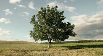 Znowu mocno powieje. Bądźcie ostrożni!