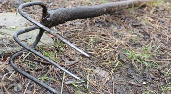 Agresywny sąsiad terroryzuje okolicę