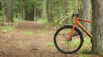 Co robić z wolnym czasem?