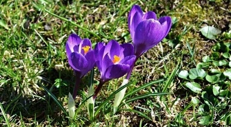 Astronomiczna już jest, kalendarzowa w sobotę