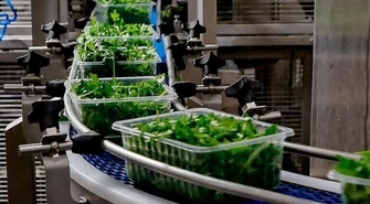 24 pracowników piotrkowskiej Nowalijki na kwarantannie. Firma wydała oświadczenie