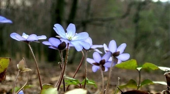 Nadchodzi prawdziwe ocieplenie!