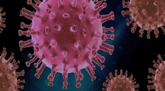 Łódzkie: 12 kolejnych zakażeń, 2 osoby zmarły