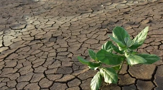 Minister rolnictwa apeluje: nie marnujmy wody, pomóżmy gospodarce i przyrodzie