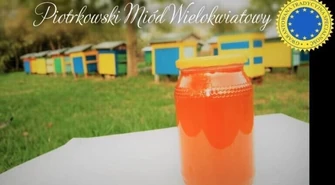 Miód wielokwiatowy produktem regionalnym ziemi piotrkowskiej