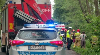 Wjechał do rowu i uderzył w drzewo