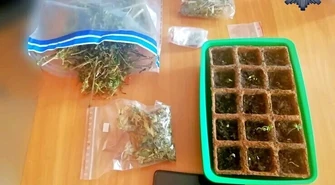 22-latek zatrzymany za posiadanie ponad 120 gramów marihuany