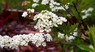 W Piotrkowie coraz bardziej kolorowo