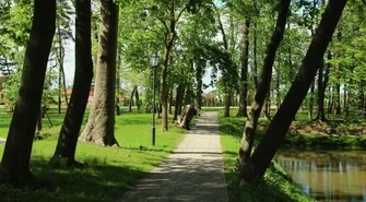 Przyrodnicza perła województwa łódzkiego. Zabytkowy park w Woli Krzysztoporskiej