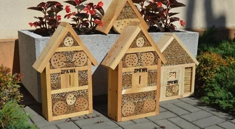 W Sulejowie wybudowali domki dla owadów