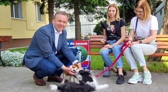 W urzędzie pamiętają o czworonogach