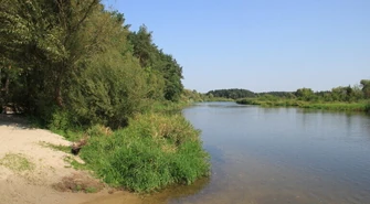 22-latek utonął w Pilicy