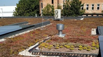 Roślinna mozaika na dachu mediateki