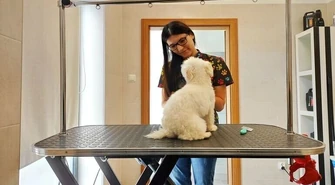 Zadbaj o swojego psa w sezonie jesienno-zimowym