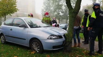 Kierowca seata uderzył w drzewo