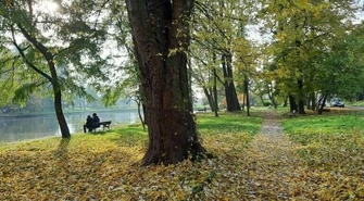 Są pieniądze na rewaloryzację parku Belzackiego. Zobacz wizualizacje!