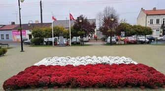 Kwiaty otuliły Wolbórz