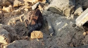 Rozbierał komin. Znalazł dwa granaty